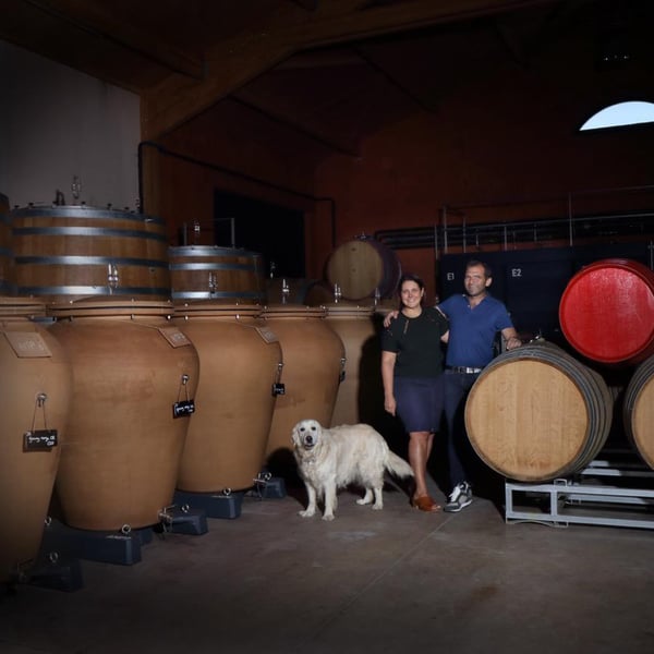 Domaine Serol - Stéphane et Carine Serol