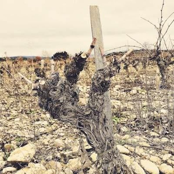 Domaine Bernatas - Stéphane & Jérôme Bernatas