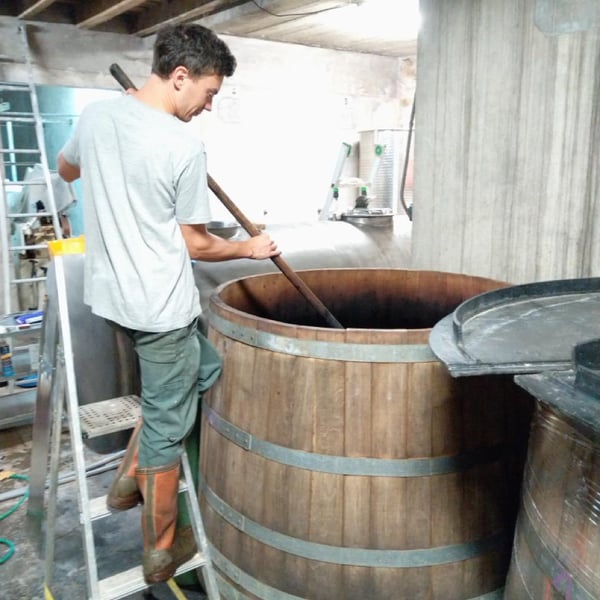 Domaine Saint Julien - Le Zaparel - Stéphanie Minder & Paco Aeschlimann