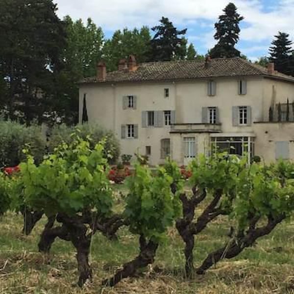 Le Vin de Blaise - Stéphanie Rougnon