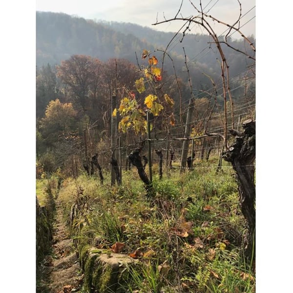 Heslach Heights - Stephanie Türk