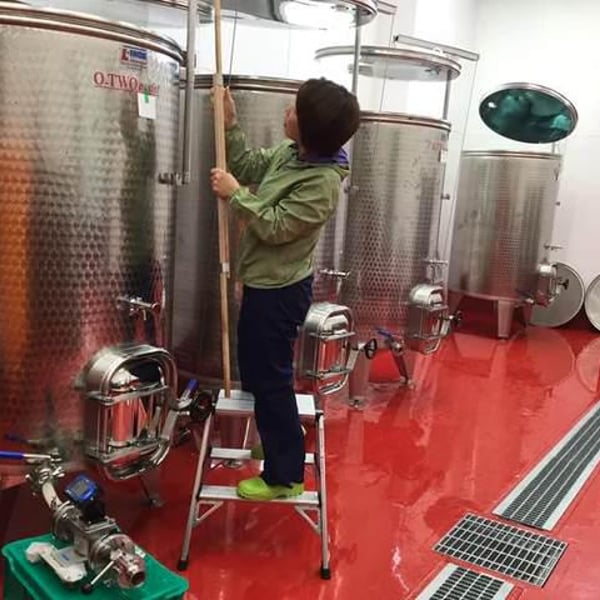 Yellow Magic Winery - Sumito Iwaya