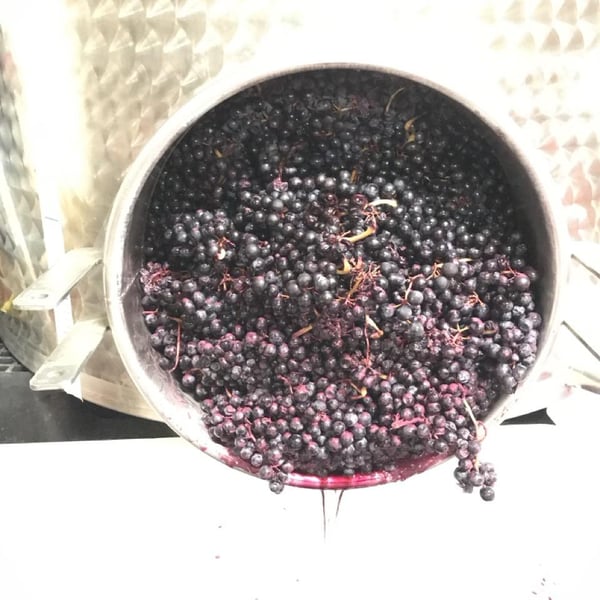 Domaine La Clef du Bonheur - Telma et Guillaume
