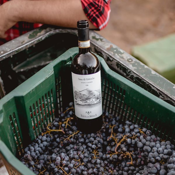 Tenuta La Novella