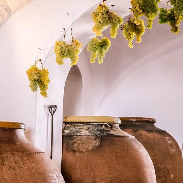 Gerações da Talha - Teresa Caeiro