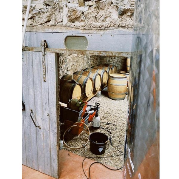 Domaine des Jeunes Pousses - 2ème génération - Thaïs Lamy & Juliette Lumeau
