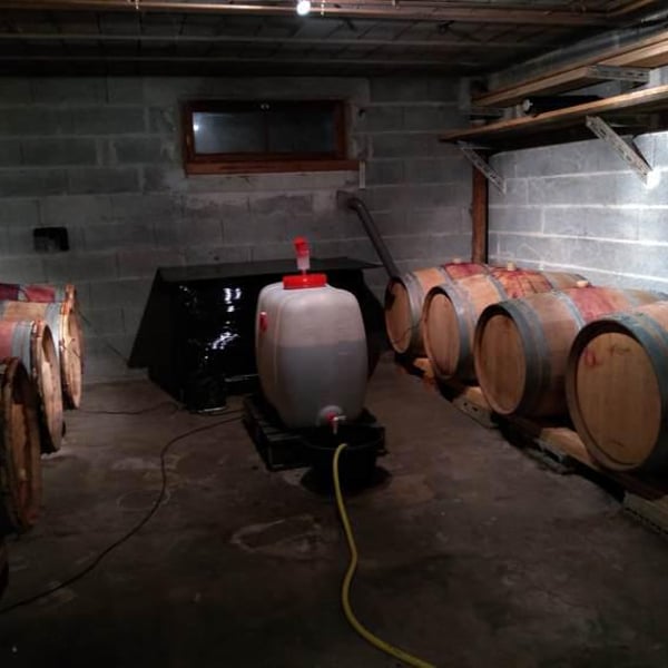 Vins Drach - Théophile Drach