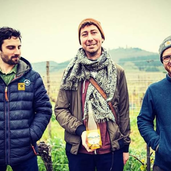 Soil Therapy - Les Vins du Mardi - Thomas Larmoyer