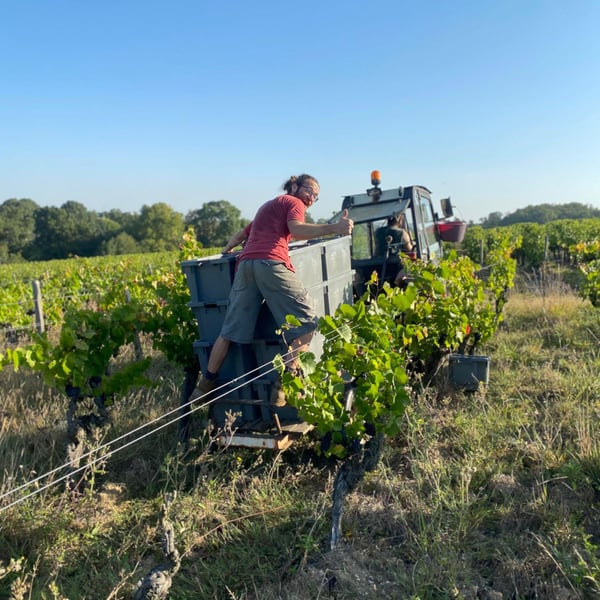 Domaine Autre Chose - Tiphaine Pierlot & Corentin Le Bolloch