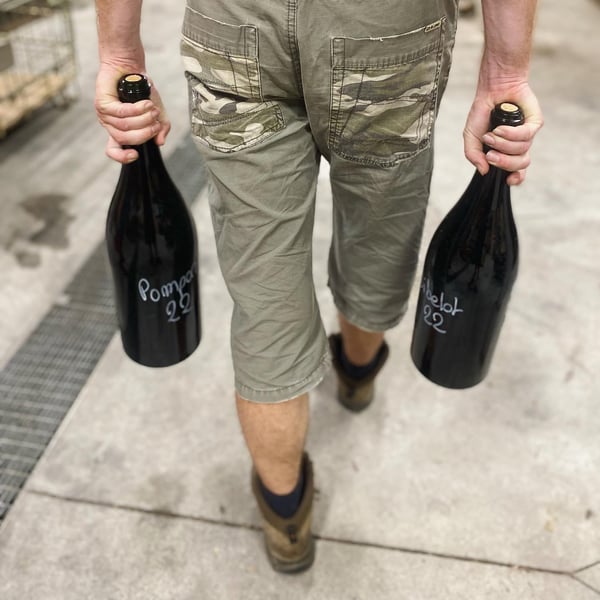 Domaine Autre Chose - Tiphaine Pierlot & Corentin Le Bolloch