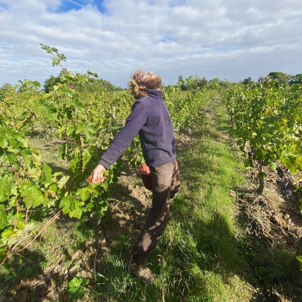 Domaine Autre Chose - Tiphaine Pierlot & Corentin Le Bolloch
