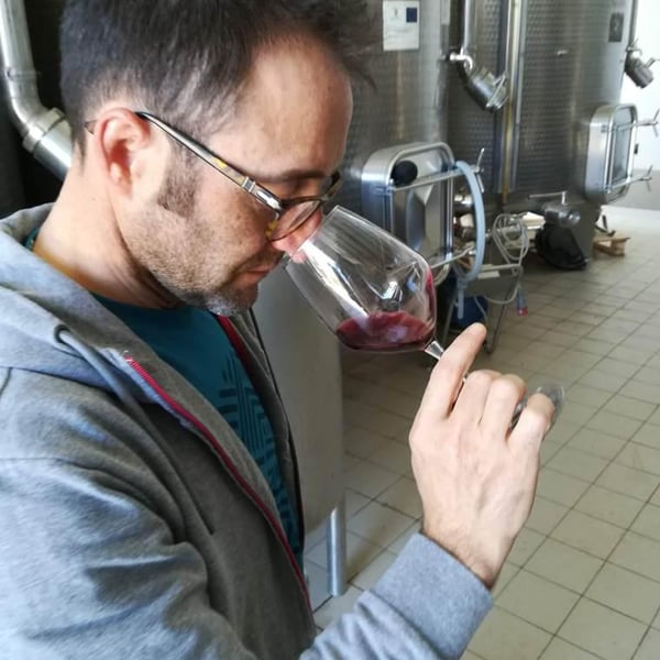 Biologica Stellino - Tommaso & Pietro Stellino