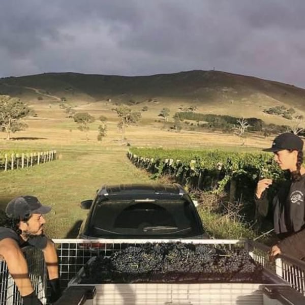 Aristotelis Ke Anthoula - Akea Wine - Tony Zafirakos & Mads Park-Neilson