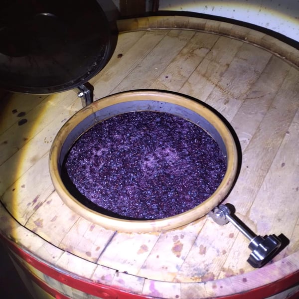 Tzikas' Family Winery - Tzikas Family