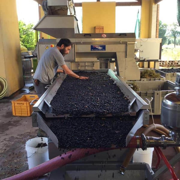 Poggio Trevvalle - Umberto & Bernardo Valle