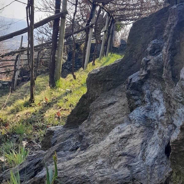 Azienda Agricola Valchyara - Valentina & Constantin Hurjui