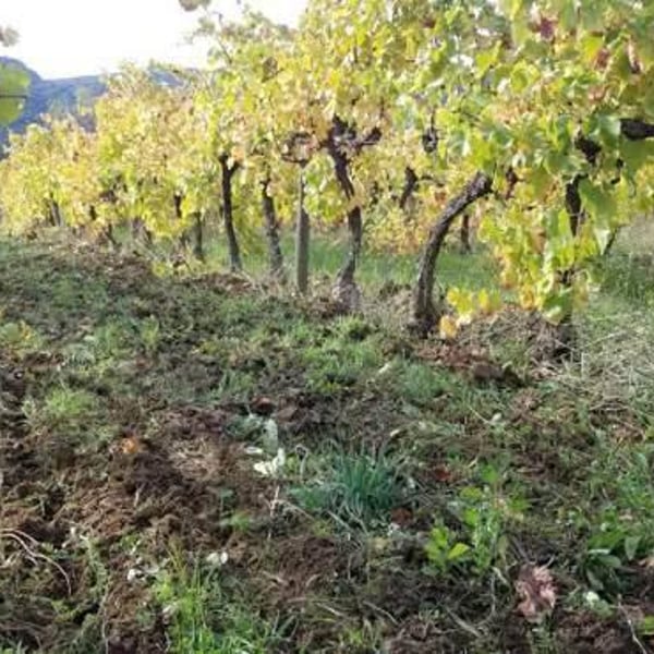 Val de Combrès - Valentin L.