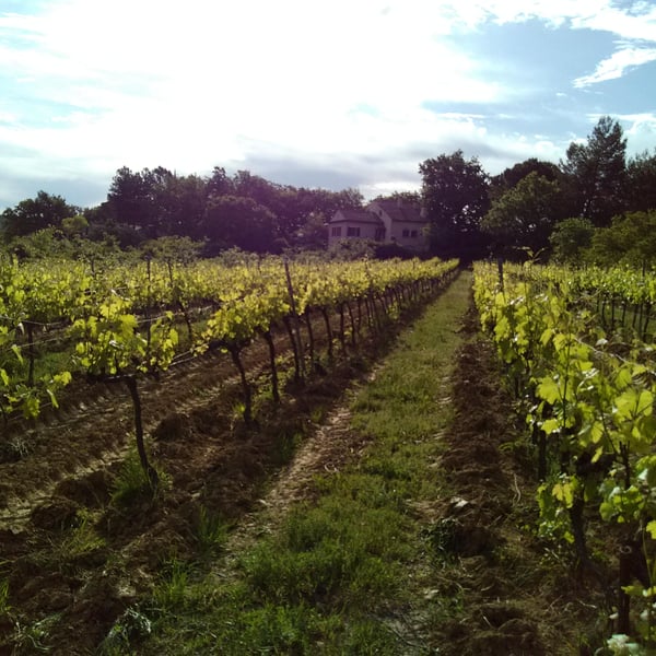 Val de Combrès - Valentin L.