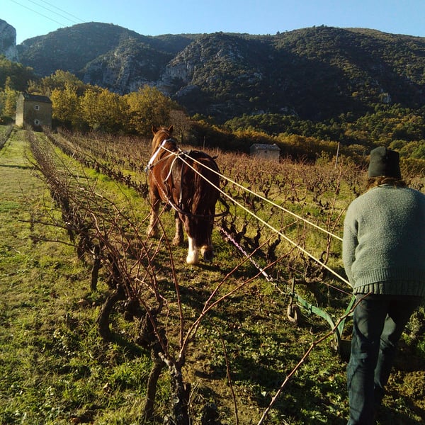 Val de Combrès - Valentin L.
