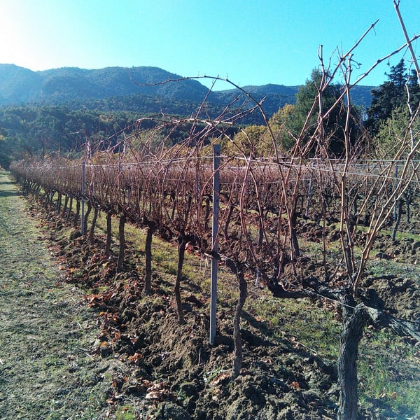 Val de Combrès - Valentin L.