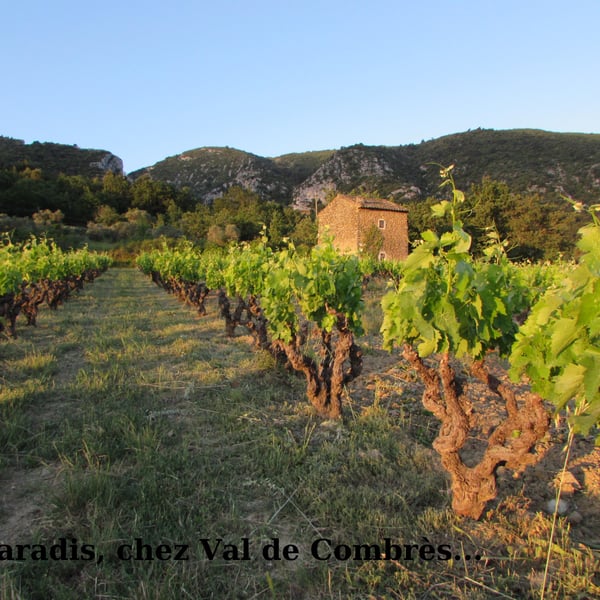 Val de Combrès - Valentin L.