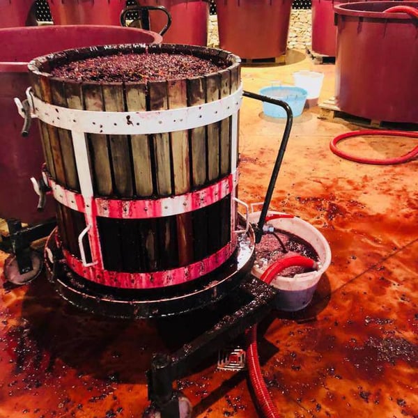 Valentina Passalacqua