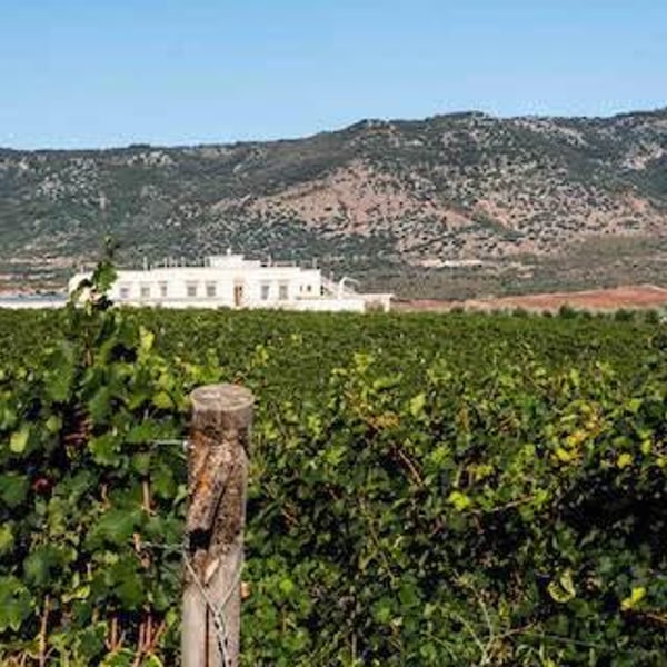 Valentina Passalacqua