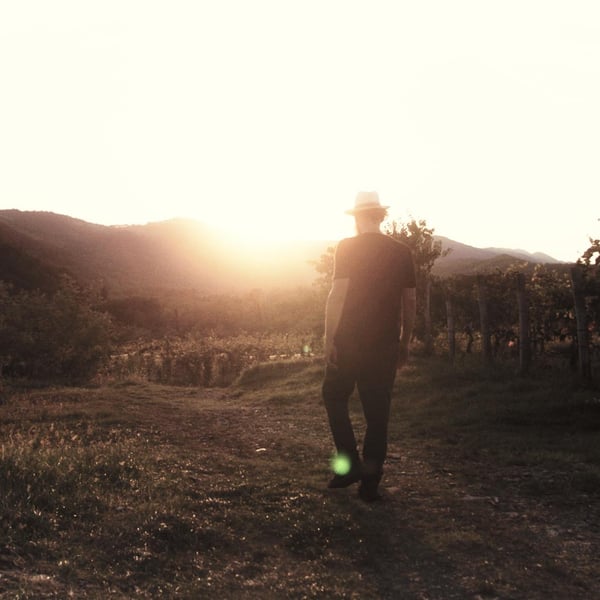 Fedora Wines - Valter & Mojca Kobal