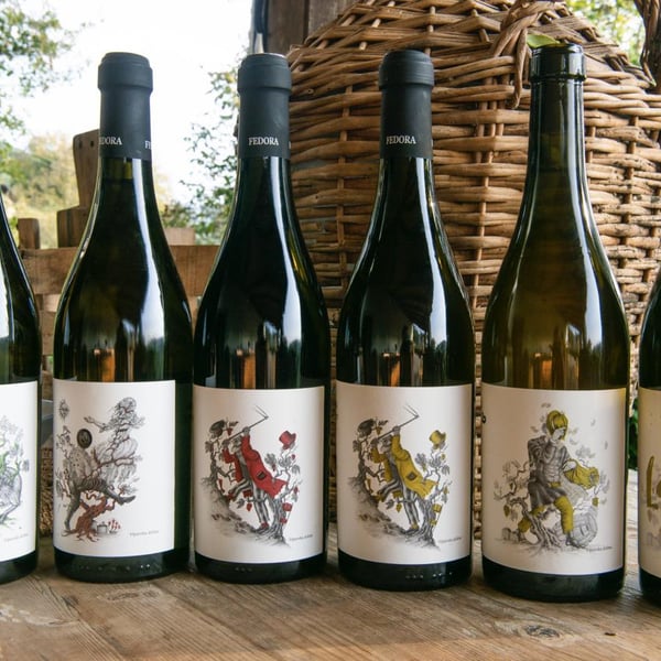 Fedora Wines - Valter & Mojca Kobal