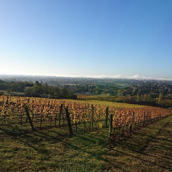 Domaine de Beyssac - Véronique, Frédéric et Pauline Broutet