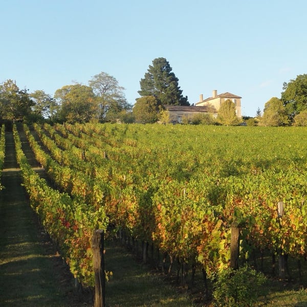 Domaine de Beyssac - Véronique, Frédéric et Pauline Broutet