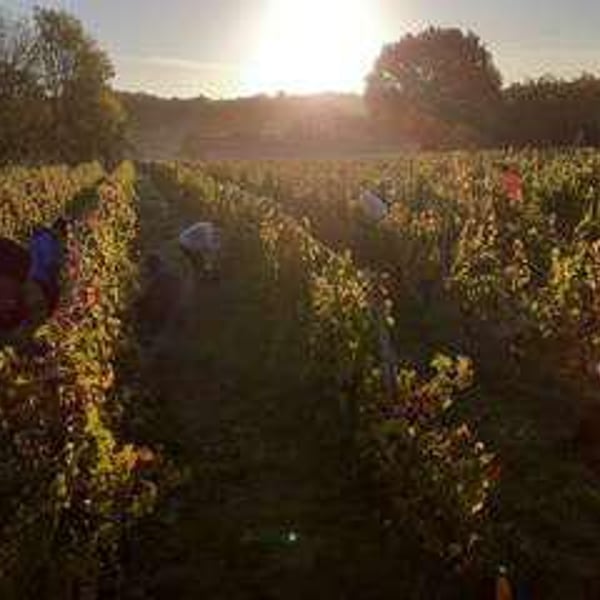 Domaine Du Bout Du Monde - Véronique Vialard, Olivier et Bulle Candon
