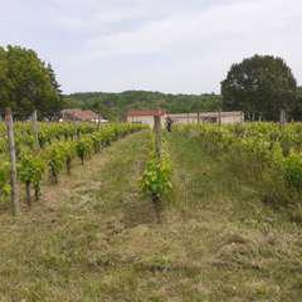 Domaine Du Bout Du Monde - Véronique Vialard, Olivier et Bulle Candon