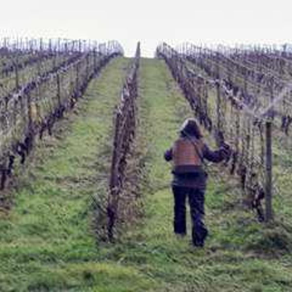 Domaine Du Bout Du Monde - Véronique Vialard, Olivier et Bulle Candon
