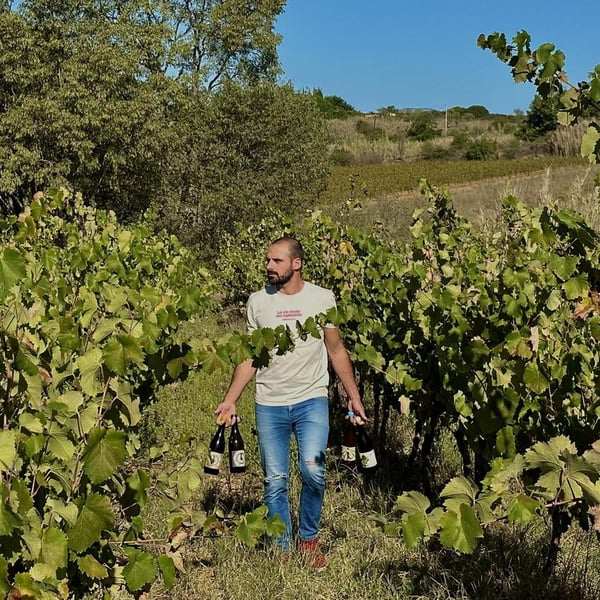 Domaine La Révolte - Victor Anglade