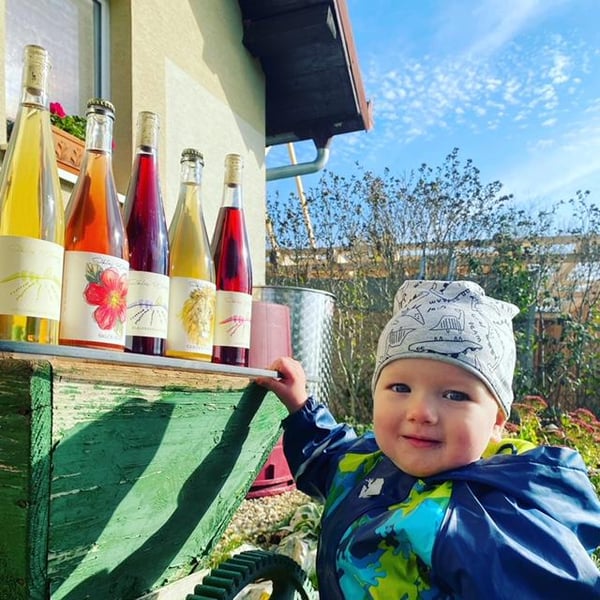 Šiklóš Winery - Viktor Sipos