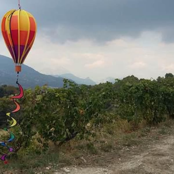 Domaine De Vinceline - Vincent & Céline Dauby