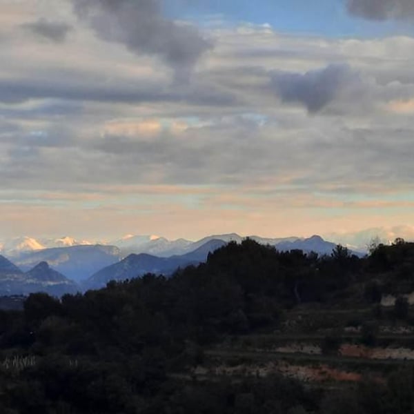 Domaine De Vinceline - Vincent & Céline Dauby
