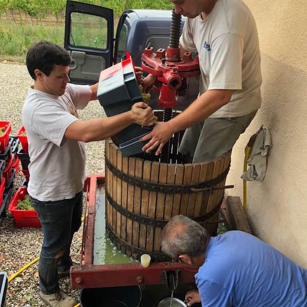 Larcelet Vincent - Domaine du Petit Bouchon - Vincent Larcelet