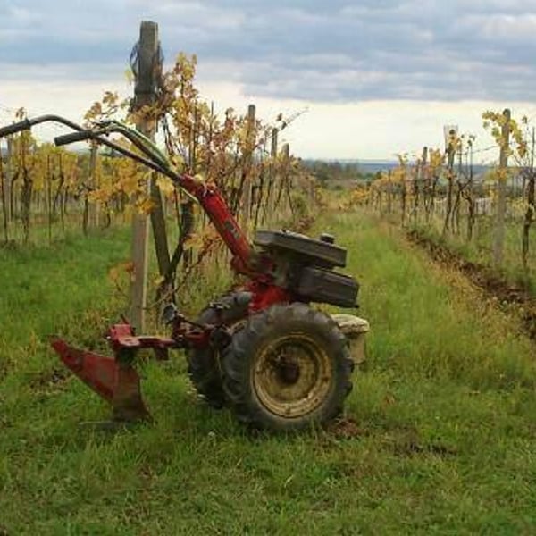 Vino Loigi - Vladimír Lojda
