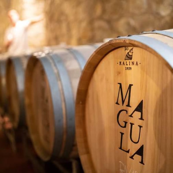 Vino Magula - Vladimir Magula Junior , Magula Family