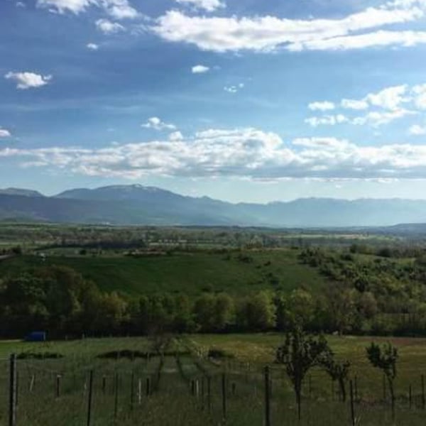 Domaine Cotzé - Wilfried Garcia