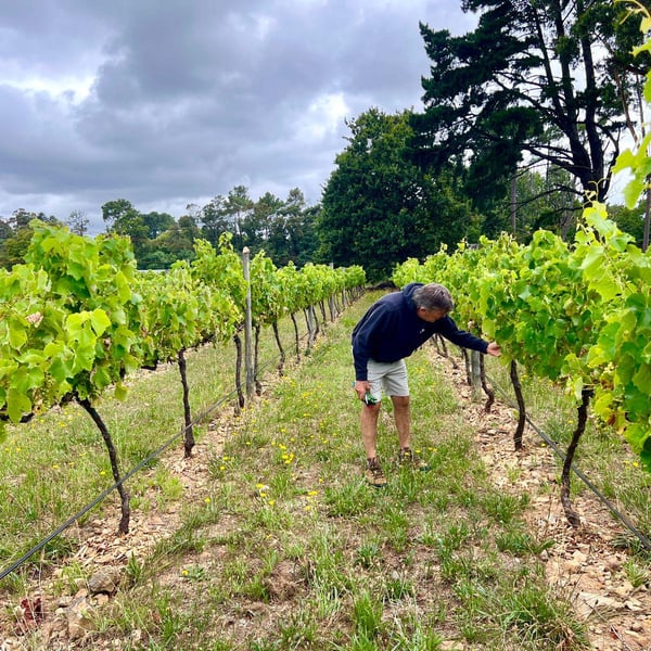 William Everson Wines - William Everson