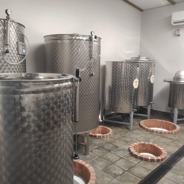 Winery Pi - Teona Omarashvili