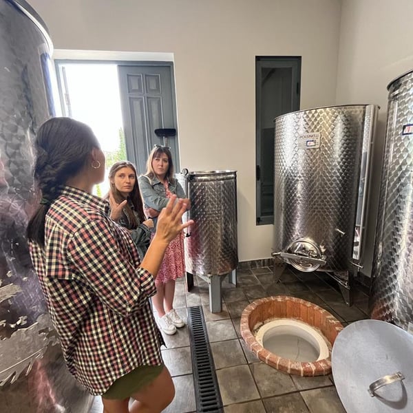 Winery Pi - Teona Omarashvili