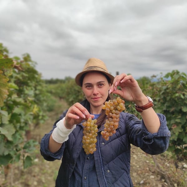 Winery Pi - Teona Omarashvili