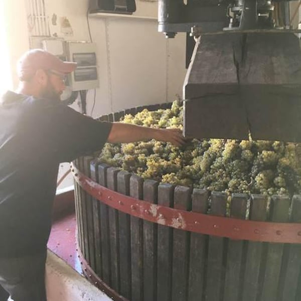 Le Vin à Poil ! - Xavier Marchais