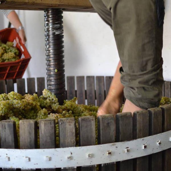 Le Vin à Poil ! - Xavier Marchais