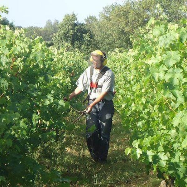 Le Vin à Poil ! - Xavier Marchais