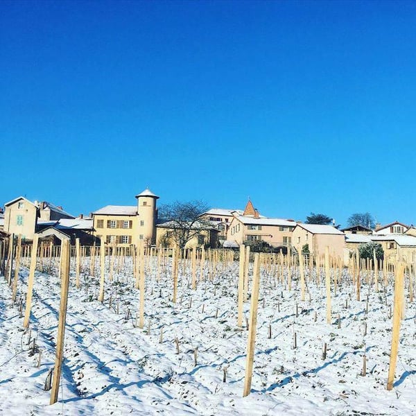 Domaine des Ardaillons - Yannick Pras
